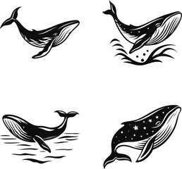 Fototapeta premium Blue Whale Silhouette