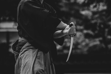 刀を構えた人物