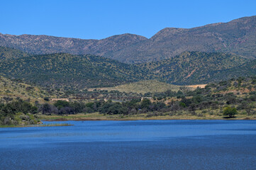 Le parc naturel Avis Dam en Namibie