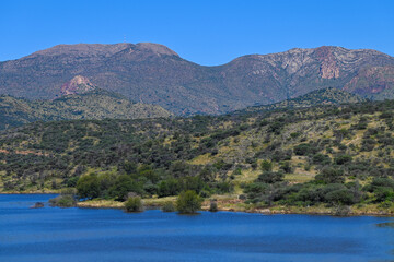 Fototapeta premium Le parc naturel Avis Dam en Namibie