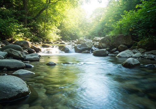 清流輝く緑の森 穏やか流れ