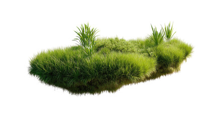 Grass Patch: A lush, vibrant patch of grass isolated on a white background, ideal for creating realistic natural elements in digital artwork or designs.