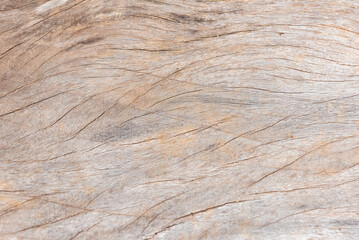 Photo of wood texture pattern