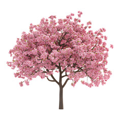 Obraz premium 3D rendering of cherry tree png