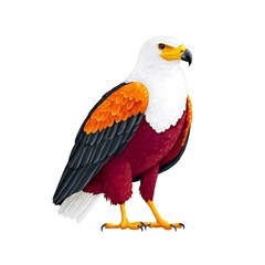 Fototapeta premium Majestic bird, maroon, white, & orange plumage, sharp gaze, powerful talons