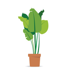 Potted Indoor Plants vectors - Flat Vector plants. A colorful flat vector of potted houseplants. Perfect for eco-friendly designs, botanical themes, or home decor illustrations.