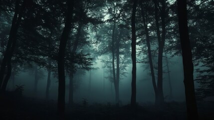 Obraz premium Dark, misty forest with tall trees creating a mysterious and eerie atmosphere.