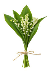 Obraz premium Lily of the valley isolated on transparent background