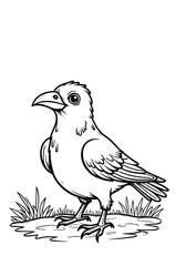 A Line Art Bird Stands In The Grass