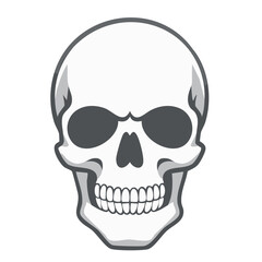 skull, Human Skull, Cartoon Skull Silhouette