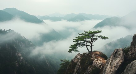 Tree on Mountain Peak with Misty Landscape