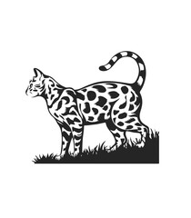  vector illustration of a cat