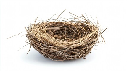 Obraz premium Professional Birds Nest Isolated on White Background for Creative Designs