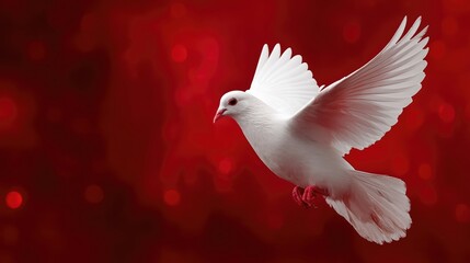 Obraz premium Celebrate Pentecost Sunday with the Holy Spirit represented by a dove in a vibrant background