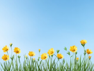 Springtime meadow against a clear sky
