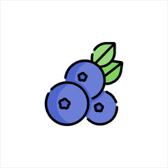 vector illustration of blueberries