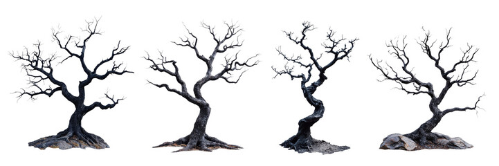 Black Dry Trees on Transparent Background in Various Poses for Creative Design Projects