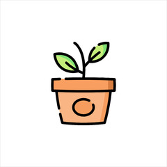 plant in pot