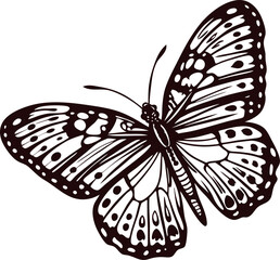 Intricate black and white butterfly design with detailed patterns