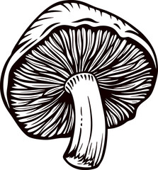 Fototapeta premium Detailed black and white mushroom sketch with cap and gills in focus.