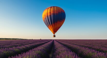 Fototapeta premium Hot Air Balloon Over Lavender Field