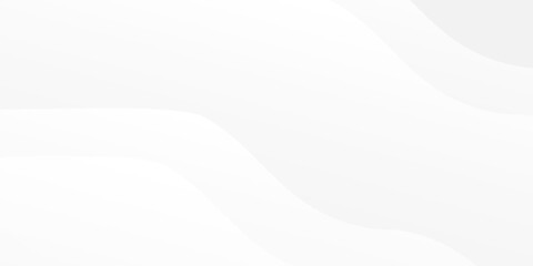 Modern white and gray background with gradient color and artistic dynamic art modern simple design