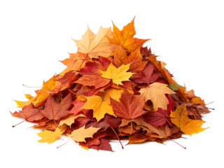 pile of autumn leaves isolated on white background, PNG