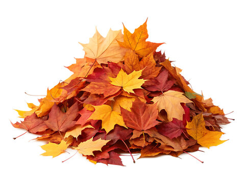 pile of autumn leaves isolated on white background, PNG