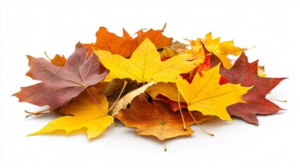Fototapeta premium Vibrant Autumn Colored Leaves Piled on White Background