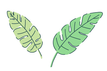 Hand drawn banana leaves in green shades. set with tropical botanical elements. Vector illustration in modern minimal style. nature design for decoration, print, textile, floral wedding invitation