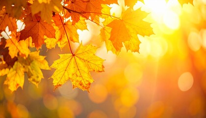 Golden Autumn Leaves in Sunlight Vibrant Fall Foliage Photography