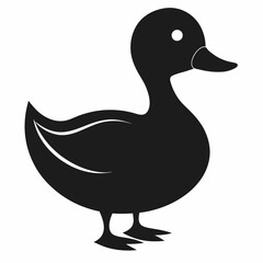 duck on a white background