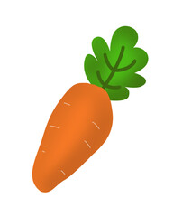 vector illustration of a carrot, Transparent background 