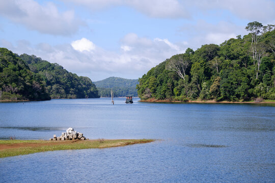 Scenic Views of Periyar Lake in Thekkady, Kerala, India, Surrounded by Dense Evergreen Forests and Rolling Hills