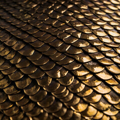 Closeup of dark and golden metallic scales texture.