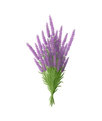 Naklejka premium Beautiful bouquet of lavender flowers on a white background for decoration