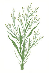 Fototapeta premium Hand-drawn green plants and layered leaves on white, with delicate pencil strokes and vintage botanical style, creating a minimal, elegant 4K wallpaper.