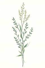 Obraz premium Hand-drawn green plants and layered leaves on white, with delicate pencil strokes and vintage botanical style, creating a minimal, elegant 4K wallpaper.