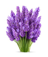 Fototapeta premium Elegant Lavender Bouquet A vibrant display of natural purple beauty and freshness