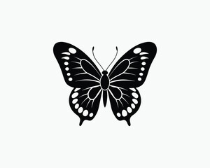 Butterfly Elegant Flying Insect Design