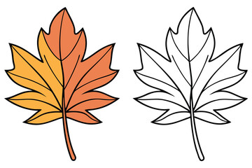 Autumn Maple Leaf Cartoon Vector, Orange Yellow and Outline on White Background
