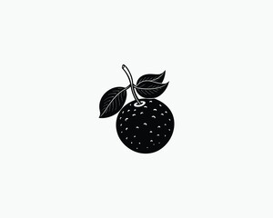 Cranberry Berry Simple Vector Drawing