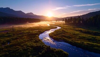 Río brumoso que serpentea a través de exuberantes humedales verdes al amanecer, fotografía hiperrealista,