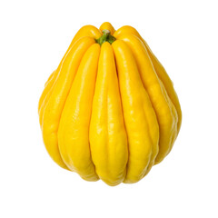 Single Ripe Yellow Buddhas Hand Citron Fruit Isolated