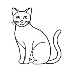 American Shorthair Cat Outline Vector