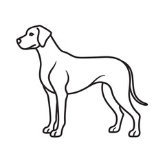 Great Dane Giant Dog Outline Vector