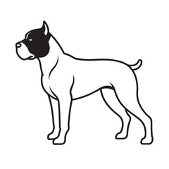 Cane Corso Guard Dog Outline Vector