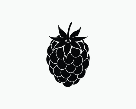 recommend clip art: Raspberry Berry Simple Nature Vector Illustration  Design 