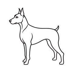 Doberman Pinscher Powerful Outline Vector