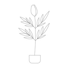 Floral art,flower art 